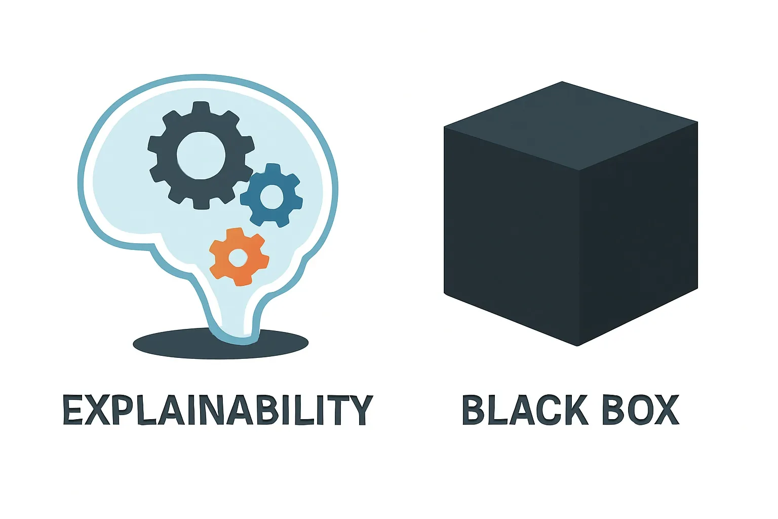 Black box AI problem